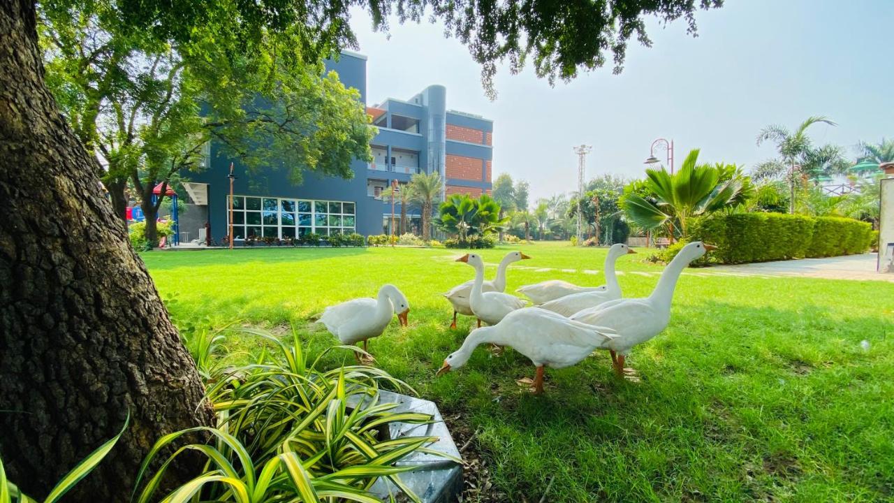 Vasad Krishna Riverside Resort מראה חיצוני תמונה